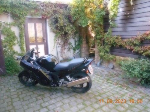 Vermiete honda cbr 1100 - cbr,